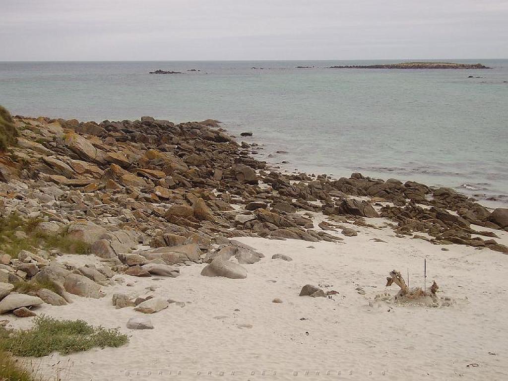 129 Ile de Batz_000011.jpg
